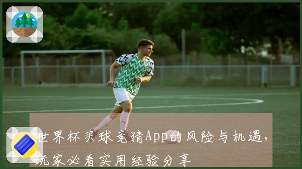 世界杯买球竞猜App的风险与机遇，玩家必看实用经验分享