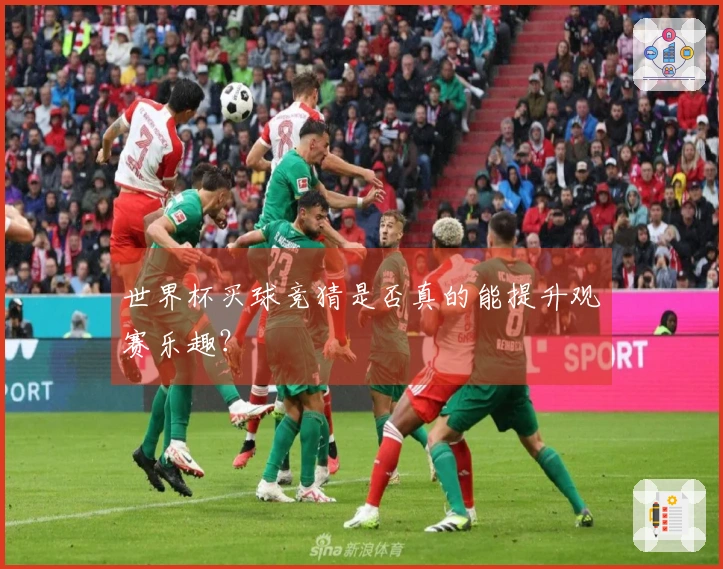世界杯买球竞猜是否真的能提升观赛乐趣？