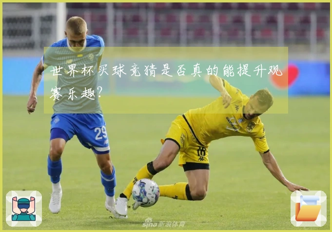 世界杯买球竞猜是否真的能提升观赛乐趣？