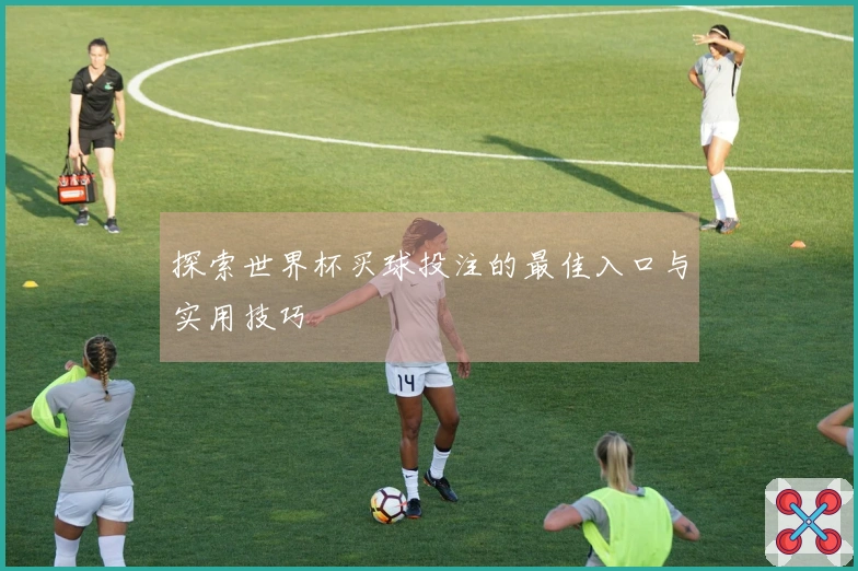 探索世界杯买球投注的最佳入口与实用技巧