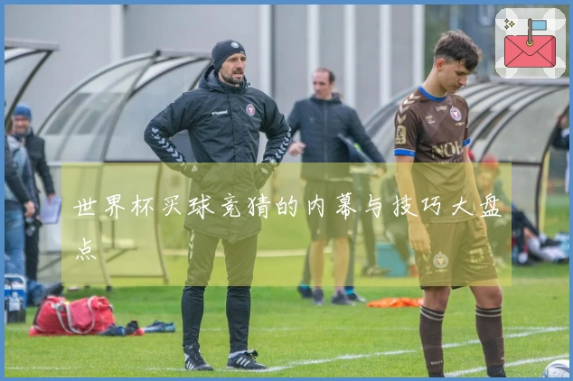 世界杯买球竞猜的内幕与技巧大盘点