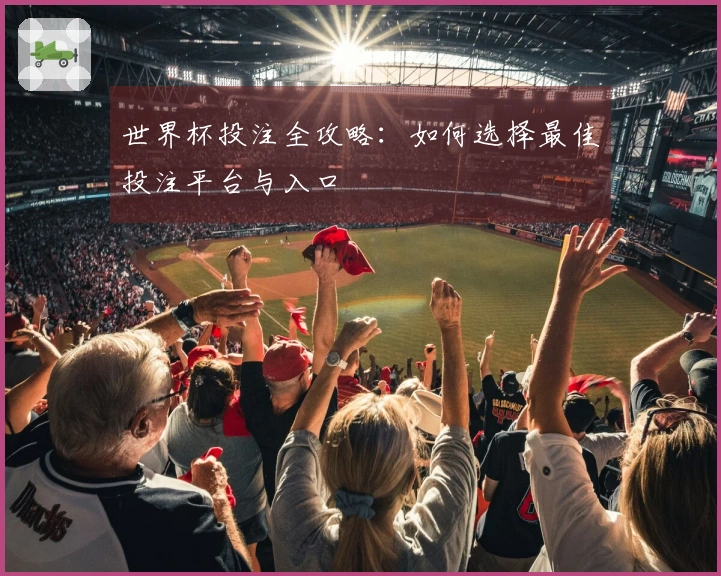 世界杯投注全攻略：如何选择最佳投注平台与入口