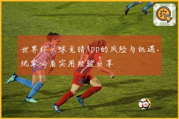 世界杯买球竞猜App的风险与机遇，玩家必看实用经验分享