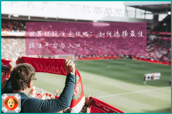 世界杯投注全攻略：如何选择最佳投注平台与入口