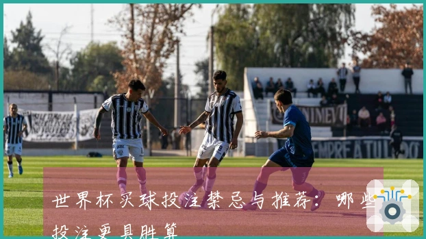 世界杯买球投注禁忌与推荐：哪些投注更具胜算
