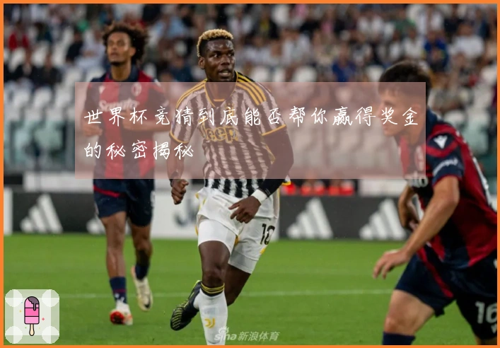 世界杯竞猜到底能否帮你赢得奖金的秘密揭秘