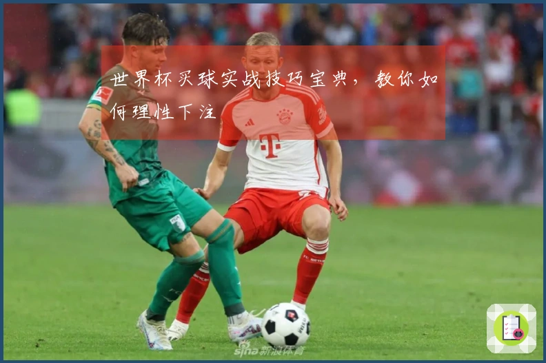 世界杯买球实战技巧宝典，教你如何理性下注
